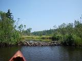 Green River Reservoir 08 : Vermont Canoe Spring